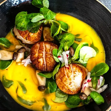 酒店 舒奈霍夫邦登瑟酒店 博登湖畔克雷斯波洛